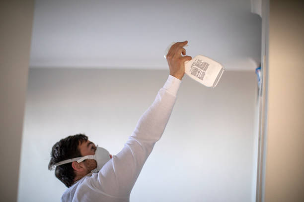Best Mold Testing  in Fort Salonga, NY