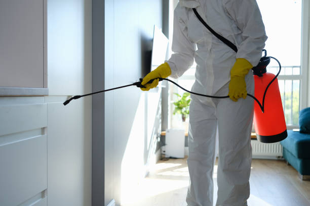 Best Mold Damage Repair  in Fort Salonga, NY