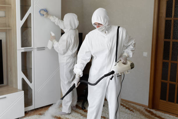 Mold Removal Process in Fort Salonga, NY